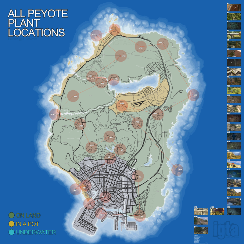 Illustration for article titled Where To Find All of GTA V's Secret Peyote Plants